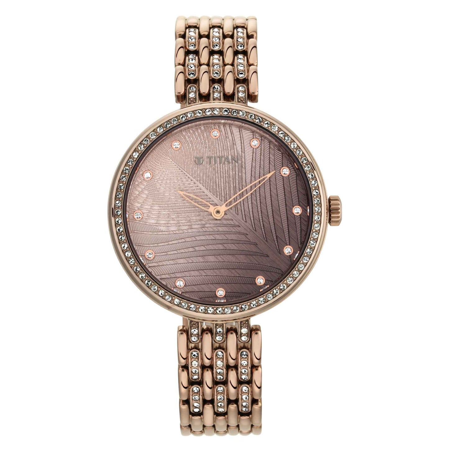 Titan Animalia Brown Dial Analog Stainless Steel Strap watch for Women