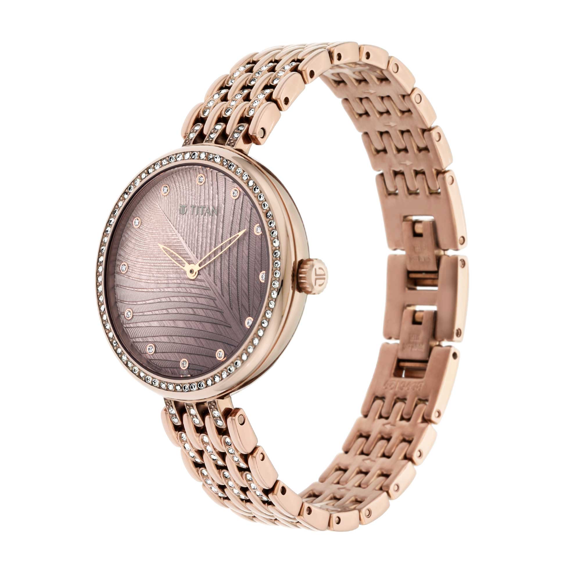 Titan Animalia Brown Dial Analog Stainless Steel Strap watch for Women