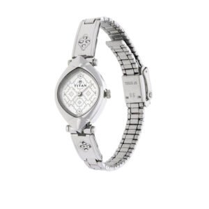 Titan Silver Dial Stainless Steel Strap Watch 2417SM01