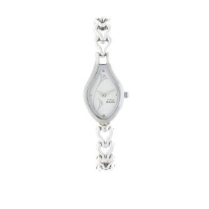 Titan Silver Dial Brass Strap Watch 2457SM01