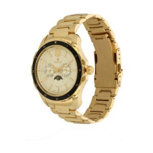 TITAN Champagne Dial Golden Stainless Steel Strap Watch 1688KM01