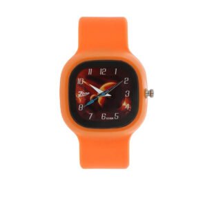 Zoop Brown Dial Analog Watch for Boys C3030PP07